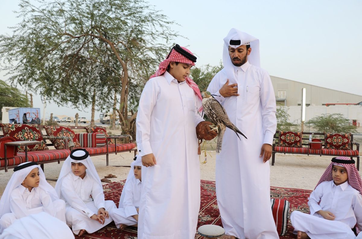 الصقارة — مركز نوماس