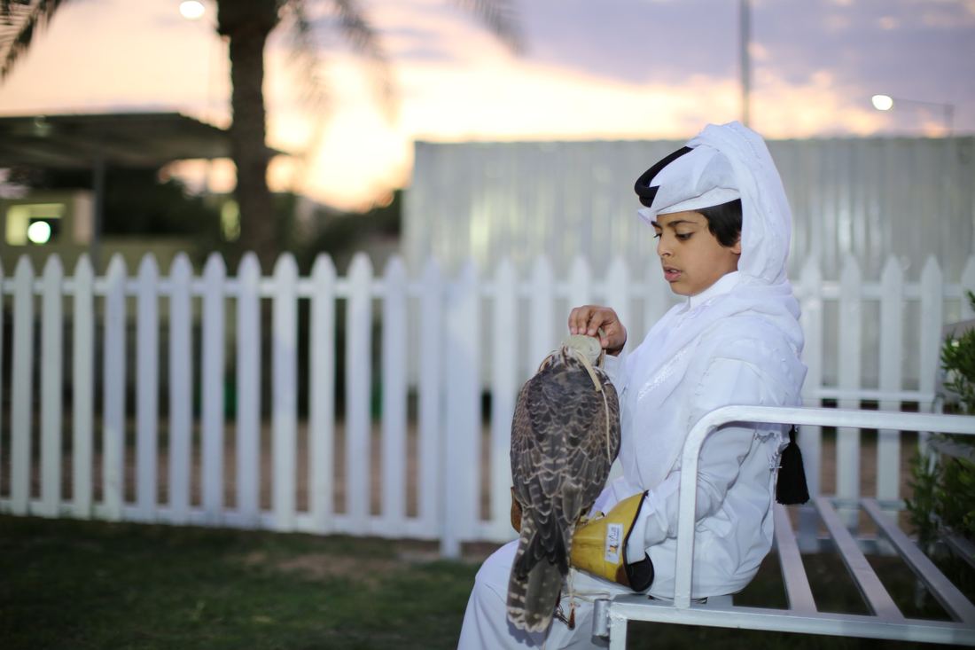 من أنشطة مركز نوماس